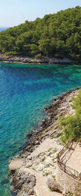 Vendégház Zastražišće - CDH390