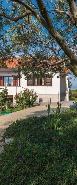 Vendégház Privlaka - CDZ802