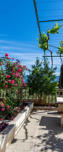 Apartman Duće - CDC665