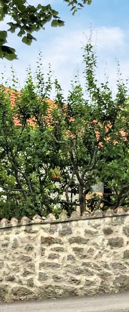 Vendégház Novi Vinodolski - CKN642