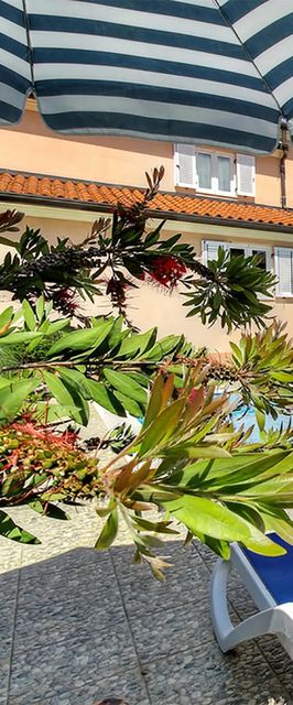 Apartman Bašanija - Bassania - CIU642