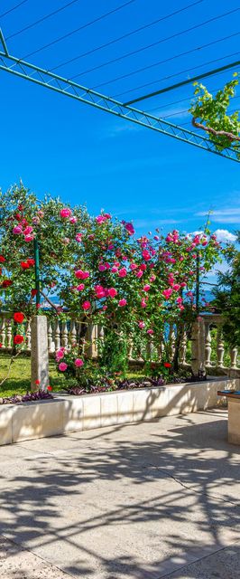 Apartman Duće - CDC666