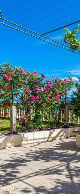 Apartman Duće - CDC666