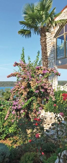 Apartman Pula - CIB104