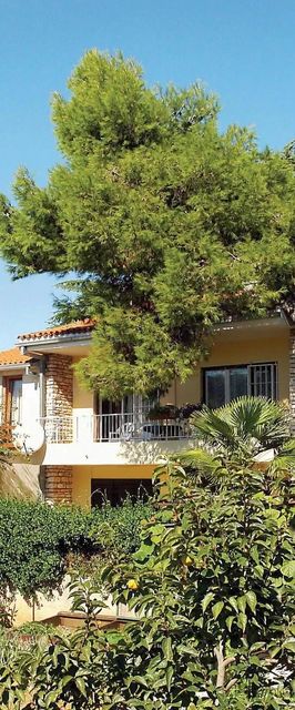 Apartman Pula - CIP126