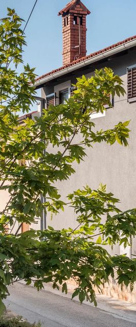 Apartman Ližnjan - CIZ244