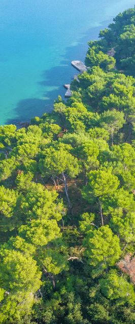 Apartman Premantura - CIA335