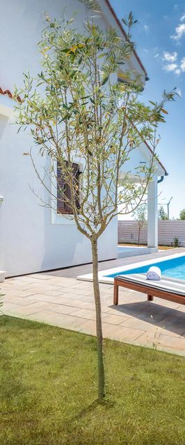 Vendégház Betiga - CIF856