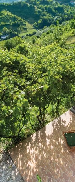 Vendégház Jastrebarsko - CCC143