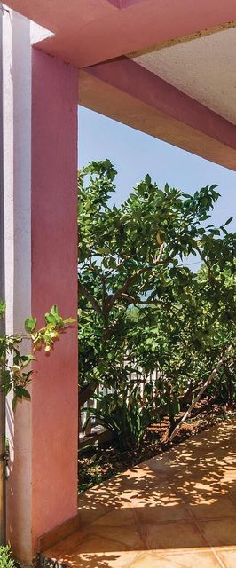 Apartman Posedarje - CDA500