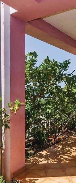 Apartman Posedarje - CDA500