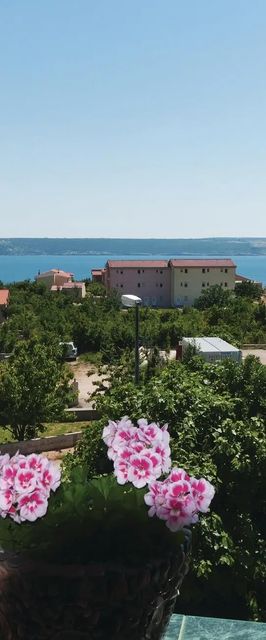 Apartman Maslenica - CDZ681