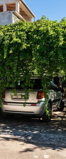 Apartman Supetar - CDB628