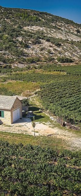 Vendégház Postira - CDB629