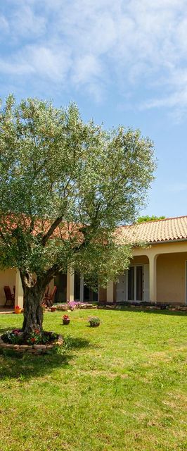 Apartman Vodnjan - CIC011