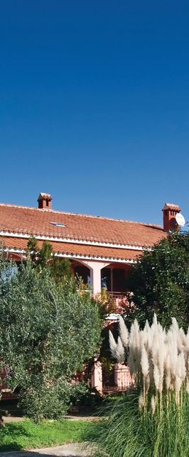 Apartman Ližnjan - CIZ276