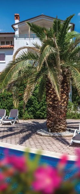 Apartman Pula - CIP130