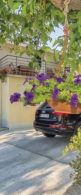 Apartman Ostrvica - CDF759