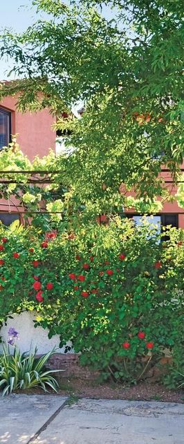 Apartman Valbandon - CIF657