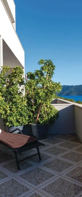 Apartman Klek - CDR182