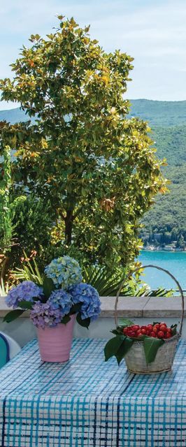 Apartman Rabac - CIO116