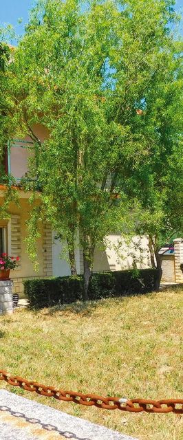 Apartman Marčana - CIR185