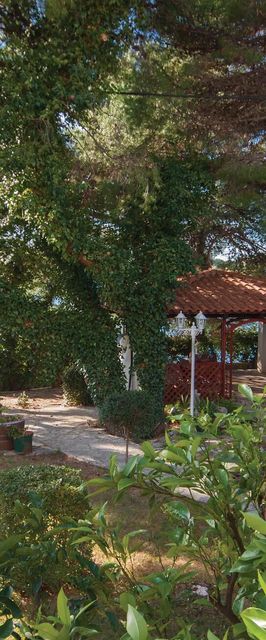 Apartman Brodarica - CDJ338