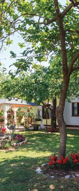 Apartman Pula - CIZ279