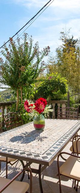 Apartman Medveja - CKO207