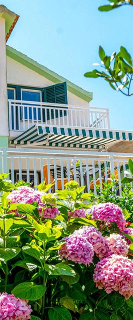 Vendégház Ston - CDP257