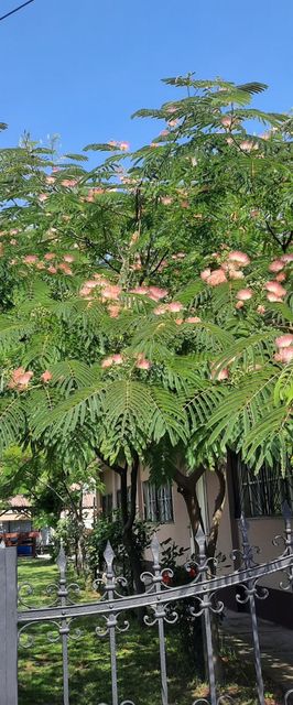 Kisfaludy Vendégház Abádszalók