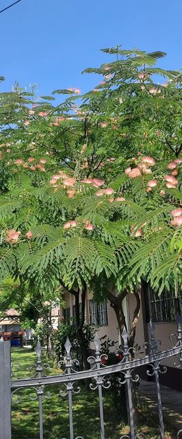 Kisfaludy Vendégház Abádszalók