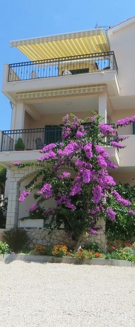 Apartmani Jolić Brodarica