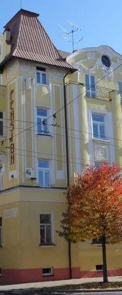 Pension ELEKTRA Mariánské Lázně