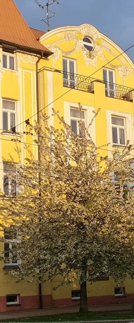 Pension ELEKTRA Mariánské Lázně