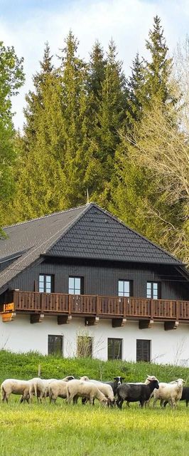 Dvůr Lískový vrch Strážný