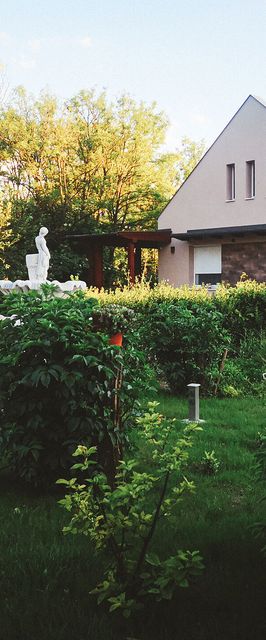 Pitypang Vendégház Kiskunfélegyháza