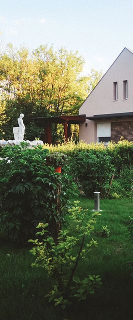 Pitypang Vendégház Kiskunfélegyháza