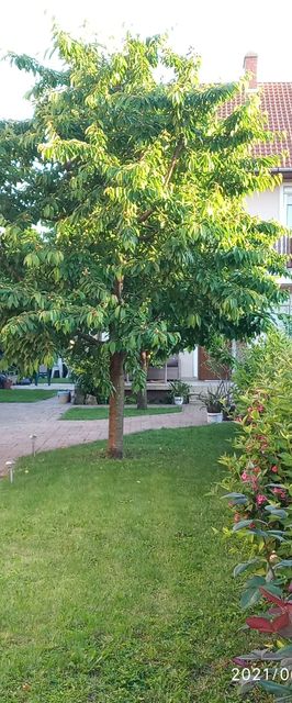 Rózsika Vendégház Hajdúszoboszló