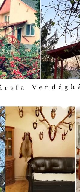 Hársfa Vendégház Tállya