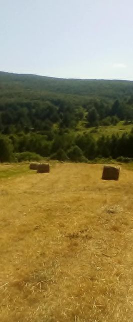 Kulcsosház Vendégház Hollóháza