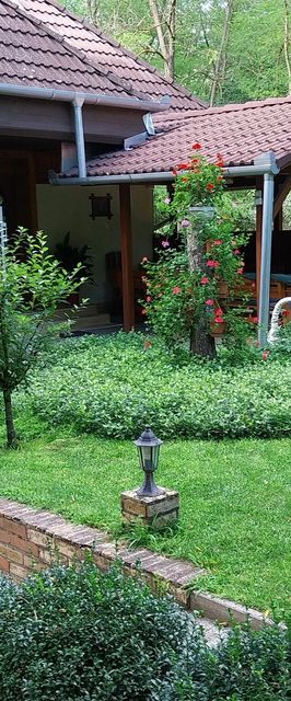 Aranyszarvas Vadászház Vendégház Császártöltés