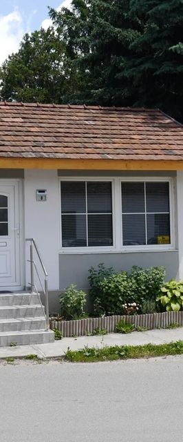 Fenyves-lak Szalkszentmárton