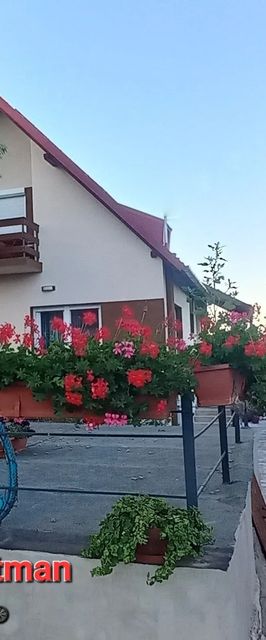 A Bringás Apartman Balatonfüred