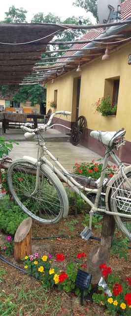 Tanya 360° Lajosmizse