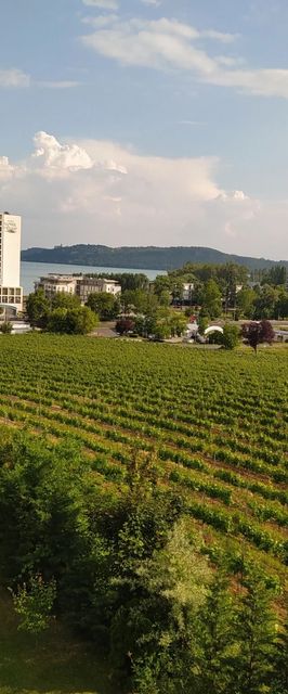 Sunset Hill Füred Apartman Balatonfüred