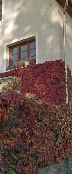 Apartmány V uličce Frymburk