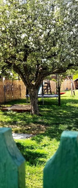 Zöld Orom Vendégház Békésszentandrás