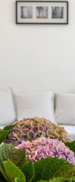 Hortenzia Vendégház Mór