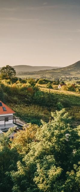 Fata Birtok Vendégház Nemesgulács